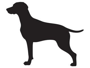 WEIMARANER DOG SILHOUETTE
