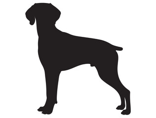 WEIMARANER DOG SILHOUETTE