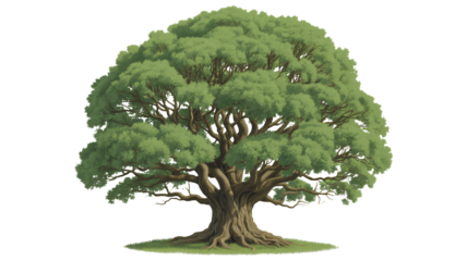 Majestic ancient oak tree with sprawling branches and lush green foliage, symbolizing growth and resilience in nature's grandeur
