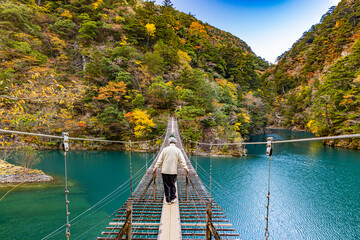 Autumn scenery of the Dream Suspension Bridge in Sumata Gorge, Shizuoka Prefecture