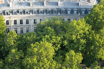 Lush green trees surround a historic building with elegant architecture, showcasing a harmonious...