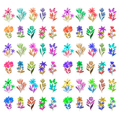 Set Collection Watercolor floral illustrations of various colorful blooming flowers