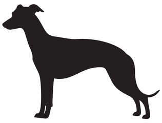 WHIPPET DOG SILHOUETTE