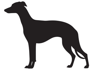 WHIPPET DOG SILHOUETTE