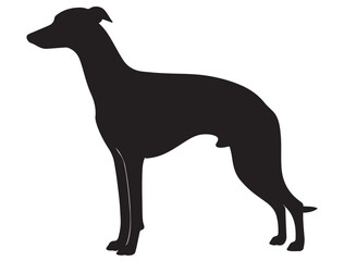 WHIPPET DOG SILHOUETTE