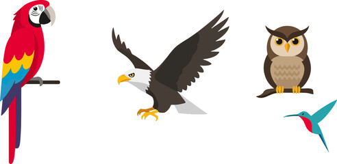 Obraz premium Colorful birds in flight and rest