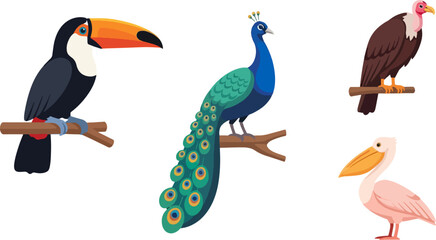 Fototapeta premium Colorful birds on branches