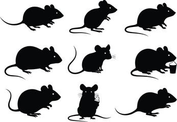 Mouse silhouette vector set with various poses, accessories, standing, sitting, drinking, eating cheese, isolated black animal icons collection