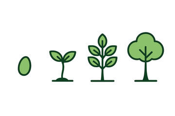 Plant Growth Stages Illustration
