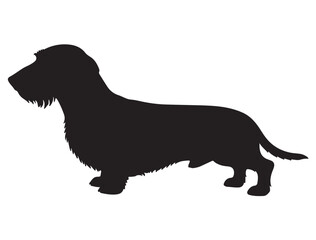 WIREHAIRED DACHSHUND DOG SILHOUETTE