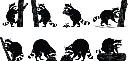 Naklejka premium Silhouette raccoon vector set with cute poses climbing trees, eating fruit, searching food and standing, woodland animal illustration design