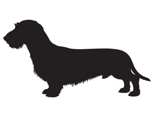 WIREHAIRED DACHSHUND DOG SILHOUETTE