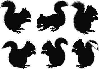 Squirrel silhouette vector set with eating poses, bushy tail icons, black isolated animal shapes, wildlife clipart design for nature themes