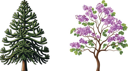 Evergreen pine tree illustration, purple flowering tree vector, natural forest design, detailed botanical artwork, seasonal flora, decorative outdoor plant element