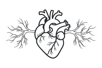 Realistic Heart Anatomical With Arteries, Veins, and Vessels Line Art Design