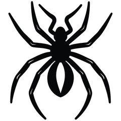 spider pair vector icon