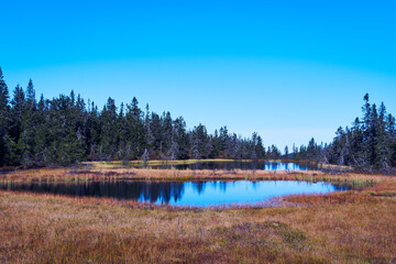 Toputta Lakes from the Svartdalstjerna Primeval Forest Nature Reserve of the Totenåsen Hills, Norway, in September 2025.