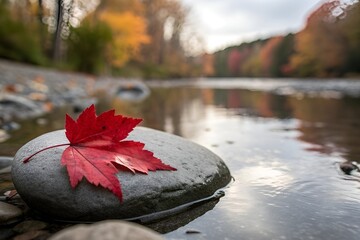 Red Maple Leaf on Stone in Tranquil Autumn River Scene