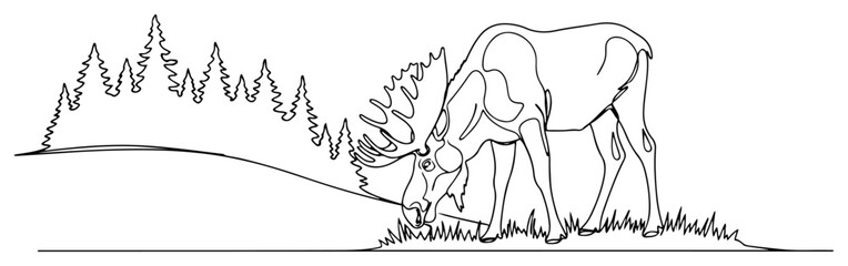 Moose in The Forest Continuous Line Illustration