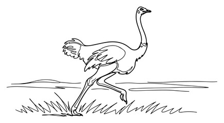 Running Ostrich Continuous One Line Drawing