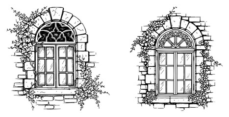 Hand Drawn Vintage Windows with Ivy