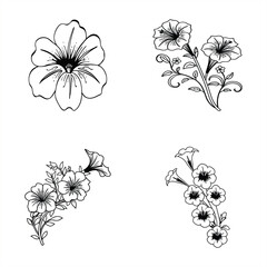 Petunia Flower Vector Set