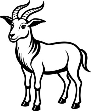 Beetal goat, vector line art icon, black and white, white background