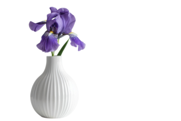 A delicate arrangement of purple irises in a textured white vase against a minimalistic background for a serene atmosphere isolated on transparent background