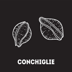 Pasta conchiglie sketch. Italian food. Hand drawn vector illustration. Conchiglie pasta Engraved style. Detailed black and white illustration.