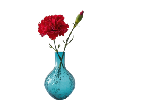A striking blue vase holds vibrant red carnations, capturing a moment of beauty and tranquility in a minimalist setting isolated on transparent background