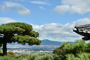 善峯寺　護摩堂付近の遊龍の松(京都市西京区)