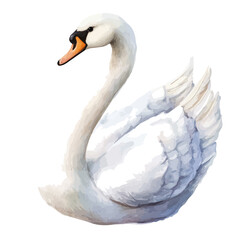 Swan, watercolor painting vector, isolated on a white background.