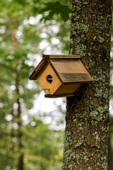 Wooden birdhouse mounted on a tree branch in a sunny forest. Habitat for birds, handmade nesting box for wildlife. Ideal for nature and wildlife themes.