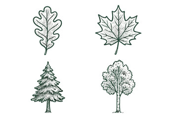 Assortment of hand drawn forest trees and leaves including oak, maple, pine, and birch in a natural sketch style