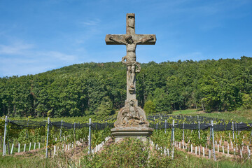 Vineyards stretch across the rolling hills of Alsace, Grand Est, France, capturing the rich autumnal charm of this famed wine region. Ripe grapes cling to the vines, ready for harvest.