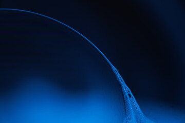 Blue bubbles surface, scientific abstraction, glossy surface