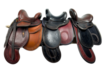 Craftsmanship of four beautifully designed saddles displayed together, showcasing leather textures and intricate details isolated on transparent background