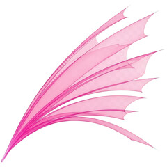 Abstract pink wing isolated on transparent background for decoration or design