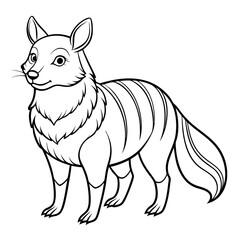 Cartoon numbat illustration standing isolated on white background image