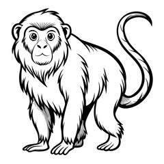 Cartoon Line Art Lion Tamarin Monkey Vector Illustration