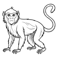 Black and white illustration of a monkey, outline style