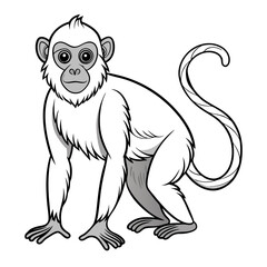 Cartoon illustration of a capuchin monkey standing isolated
