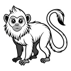 Cute cartoon white monkey vector illustration with black outlines