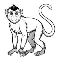 Cartoon monkey illustration with outlined vector style image