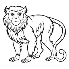Obraz premium Capuchin monkey line drawing vector illustration