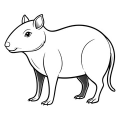 Cartoon paca outline drawing on white background art graphic