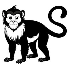 Stylized black and white monkey illustration isolated on white
