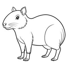 Outlined agouti rodent illustration on a white background