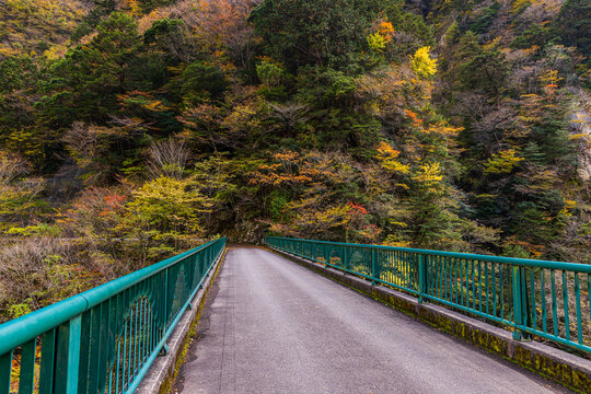 Autumn scenery of Sumata Gorge, Shizuoka Prefecture