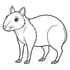 Cute agouti vector illustration isolated on a white background